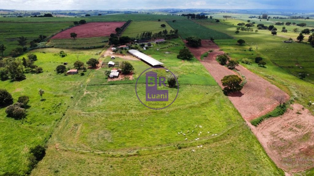 Sitio a venda com 6 hectares em Jaguapitã