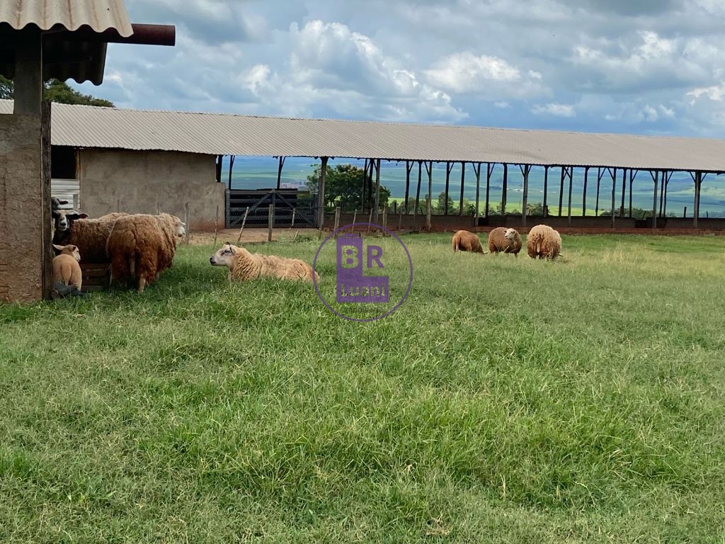 Sitio a venda com 6 hectares em jaguapitã