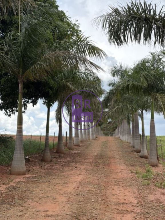 Sitio a venda com 6 hectares em jaguapitã