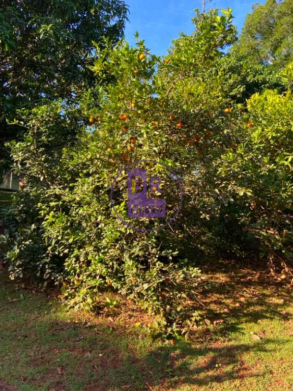 Chácara à venda no limoeiro com 6000m²