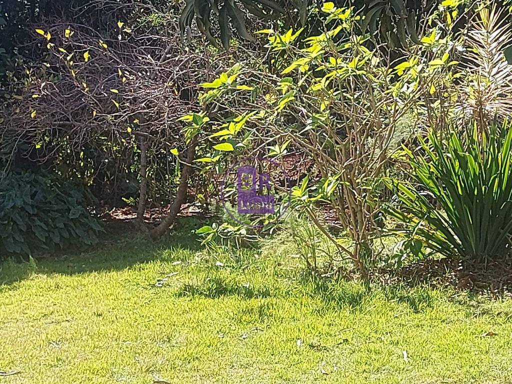 Área de 6.200 m² com excelente potencial para condomínio res