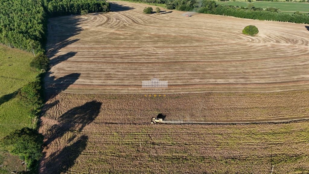 Fazenda, 54 m² - Foto 8