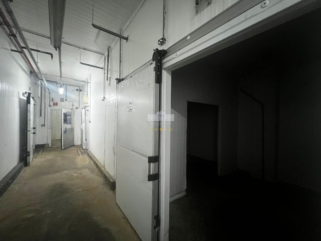 Prédio Inteiro, 14890 m² - Foto 14