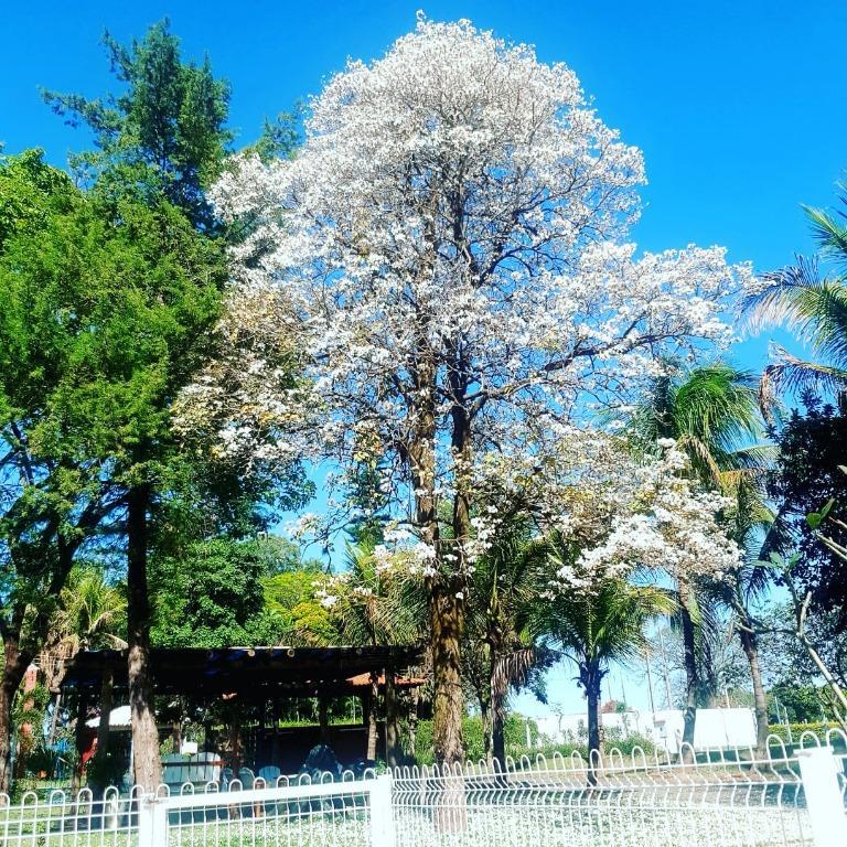 Chácara, 2 quartos, 5097 m² - Foto 35