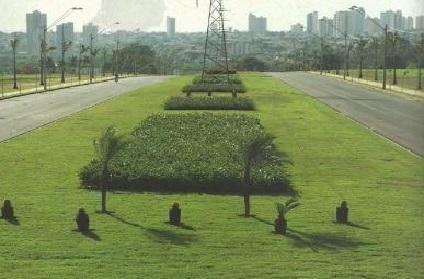 Terreno, 250 m² - Foto 5