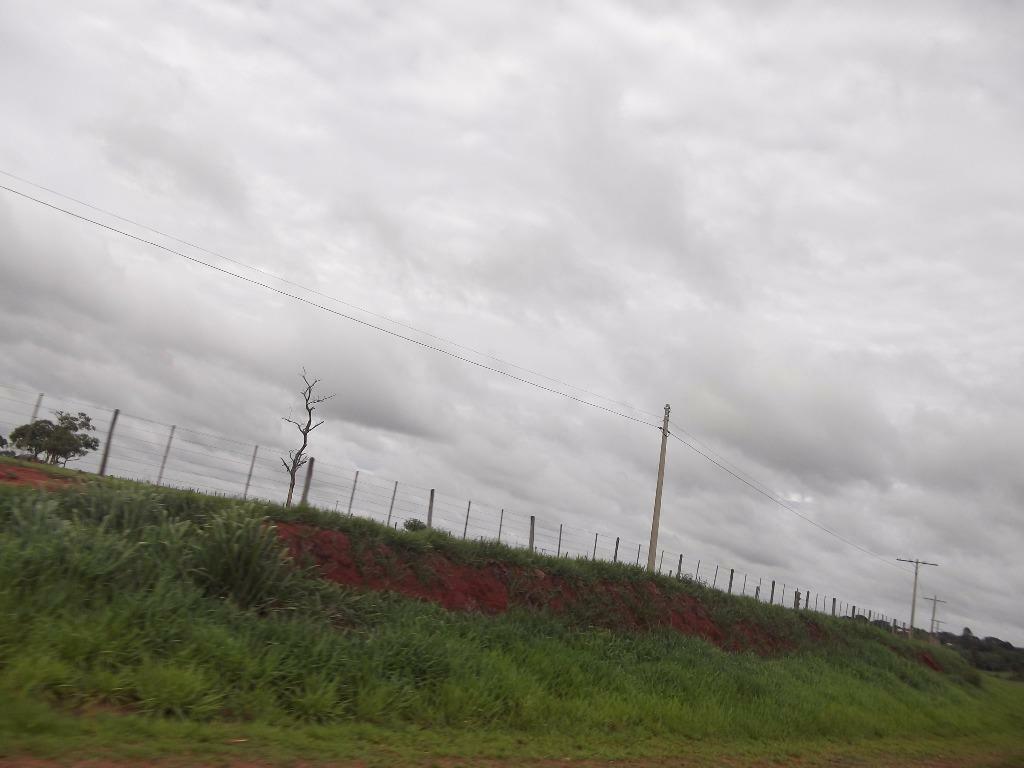 Terreno, 3 hectares - Foto 3