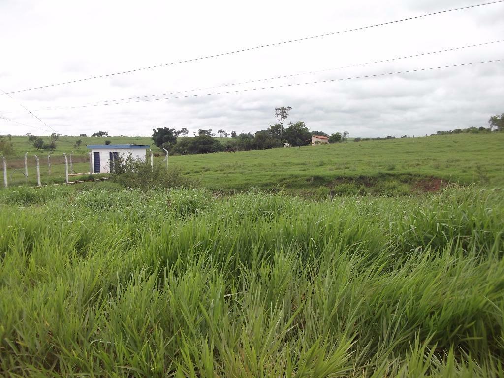 Terreno, 3 hectares - Foto 5