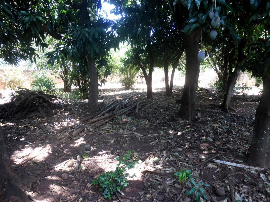 Terreno, 972 m² - Foto 2