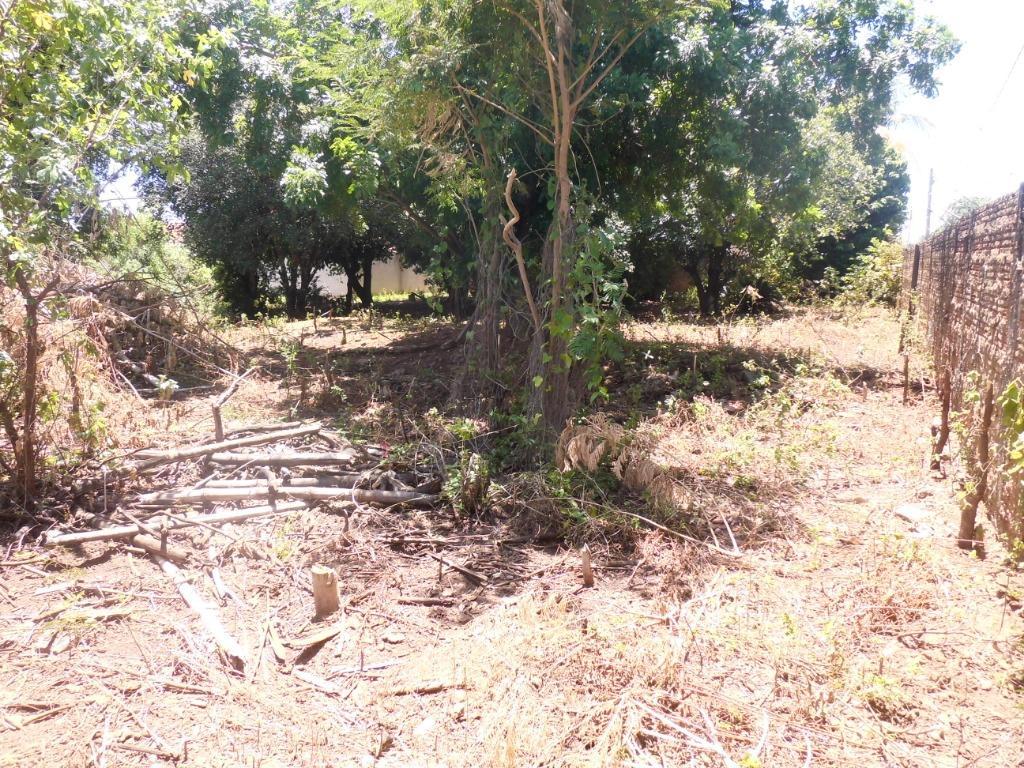 Terreno, 972 m² - Foto 5