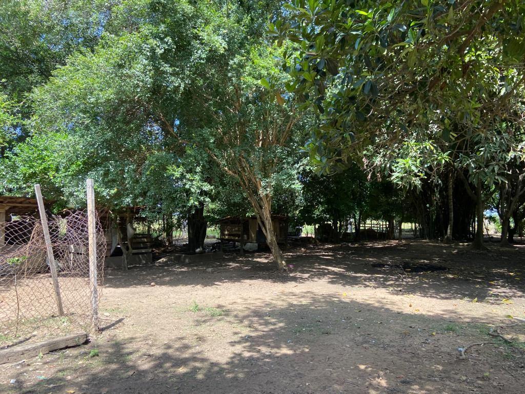 Chácara, 10000 m² - Foto 2