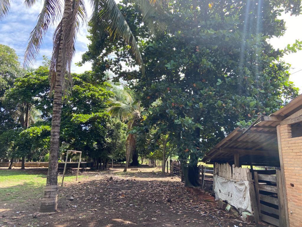 Chácara, 10000 m² - Foto 4