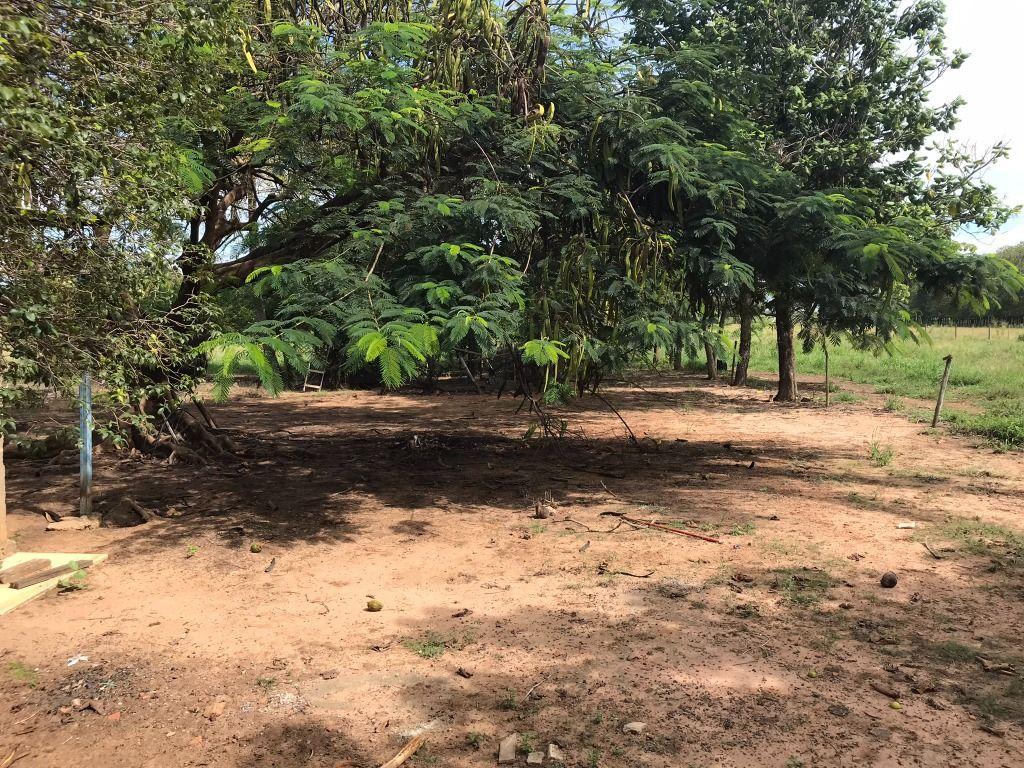 Terreno, 6 hectares - Foto 1