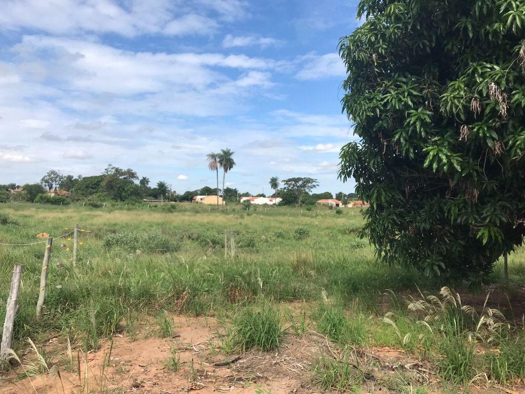 Terreno, 6 hectares - Foto 2