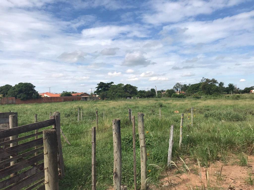 Terreno, 6 hectares - Foto 3