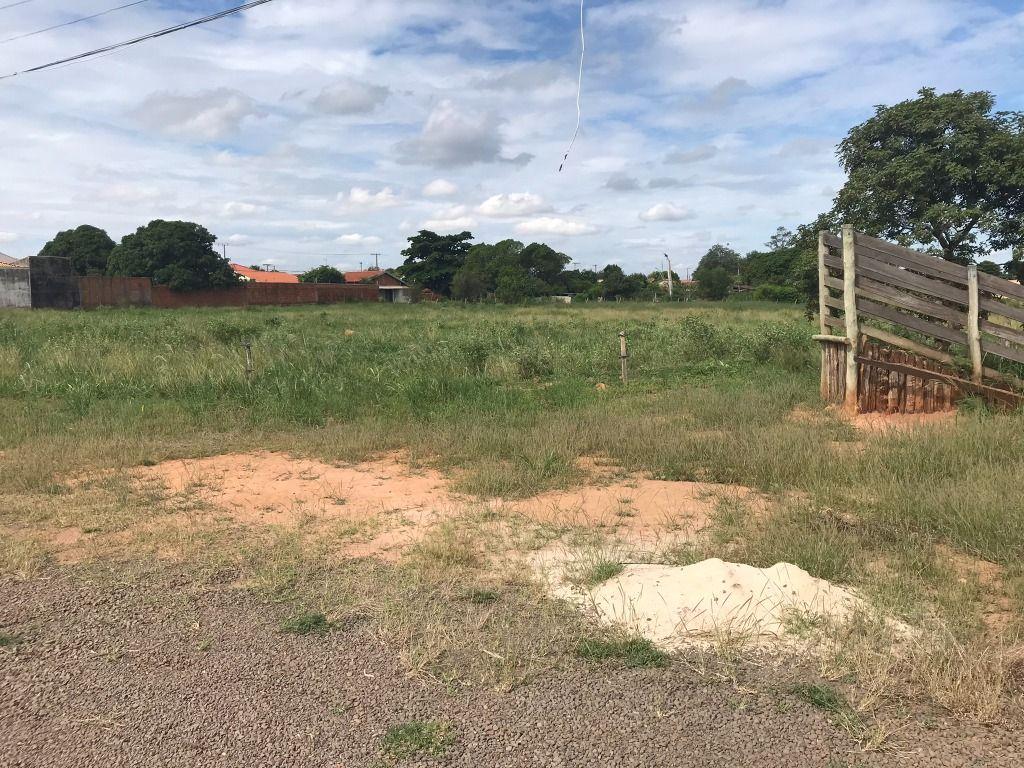 Terreno, 6 hectares - Foto 4