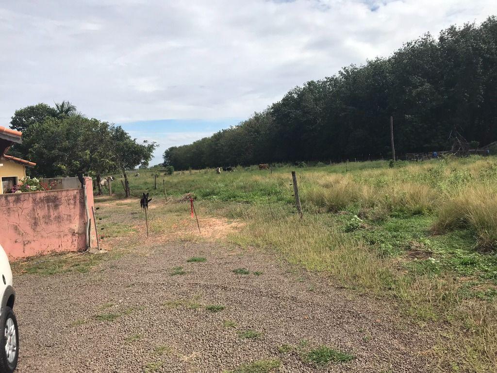 Terreno, 6 hectares - Foto 7