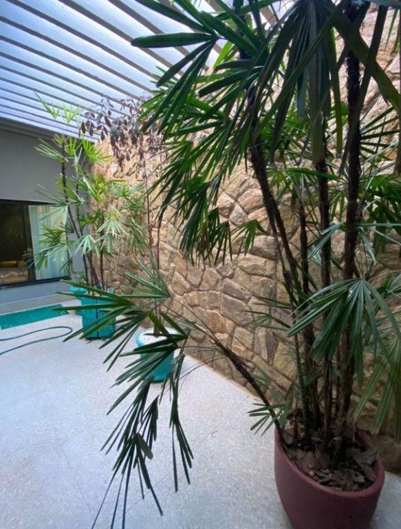 Casa, 4 quartos, 264 m² - Foto 11