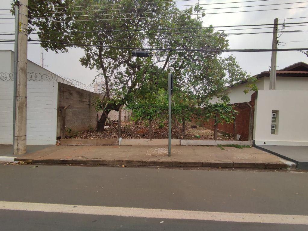 Terreno, 300 m² - Foto 3