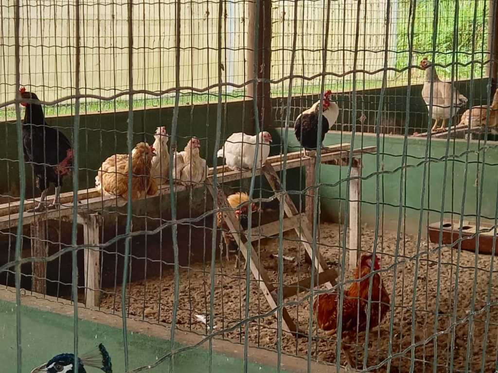 Lote no Residencial Fazenda Real - foto 36