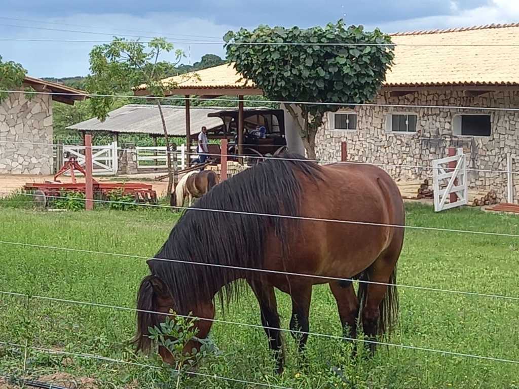 Lote no Residencial Fazenda Real - foto 38