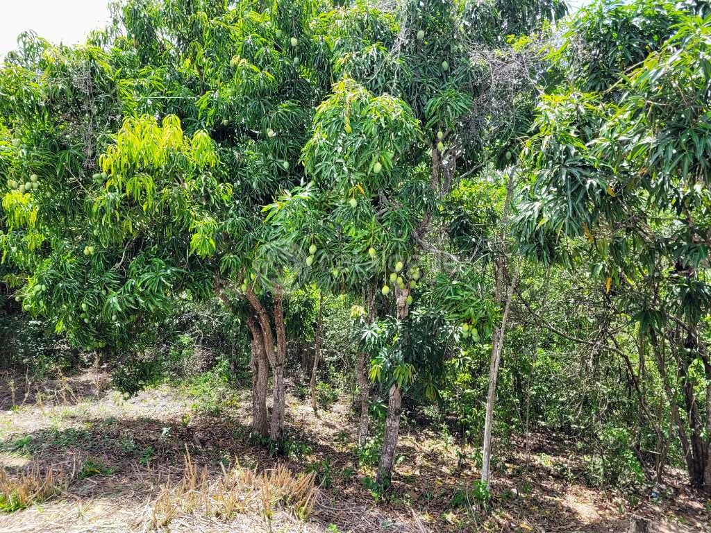 Condomínio Jardine no Bairro da Liberdade