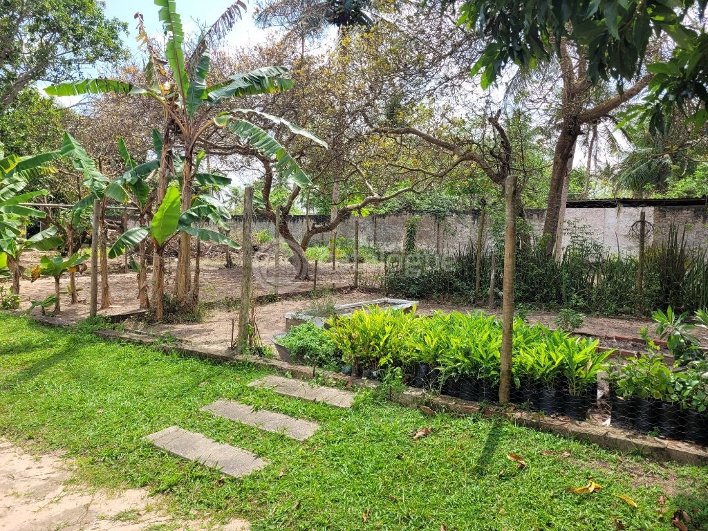 Chácara a venda em Macaíba, bem localizada