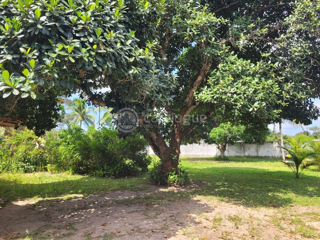Chácara a venda em Macaíba, bem localizada
