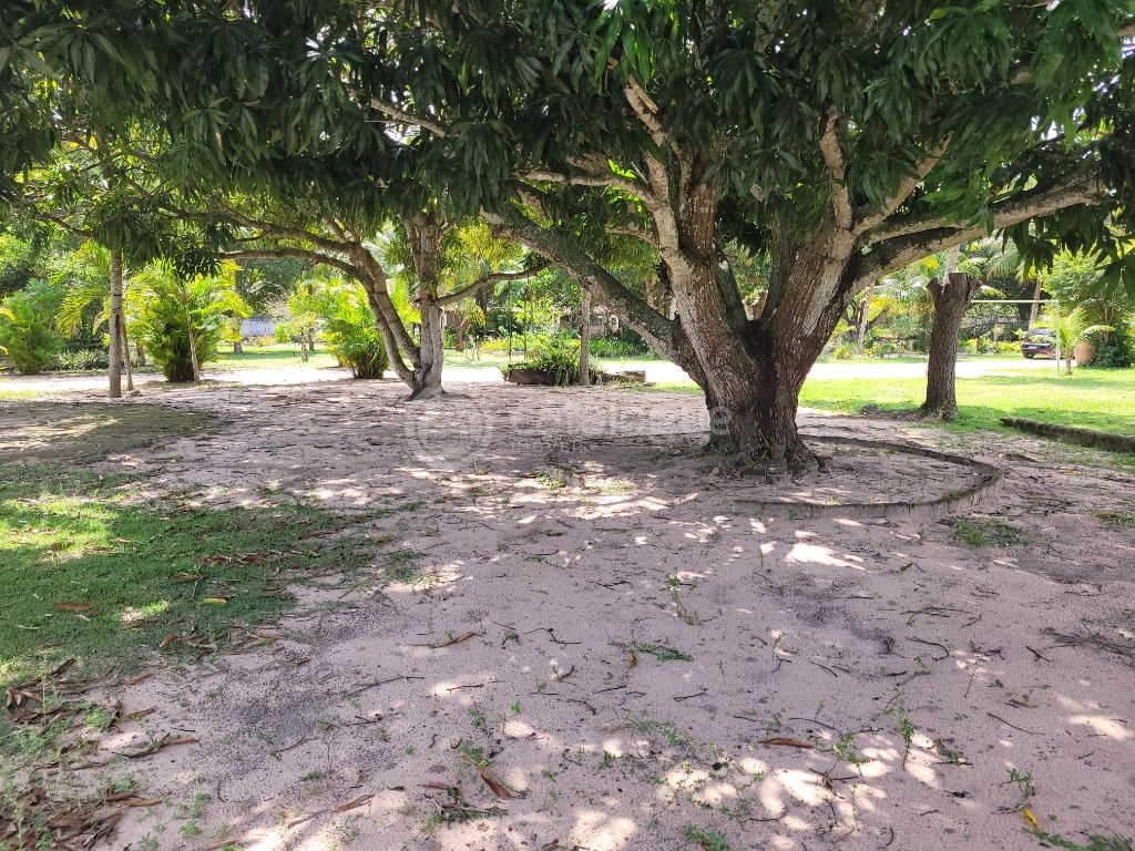 Chácara a venda em Macaíba, bem localizada