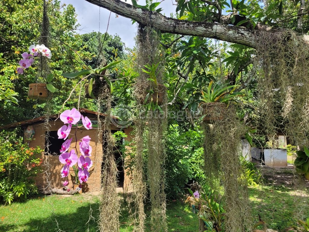 Chácara a venda em Macaíba, bem localizada