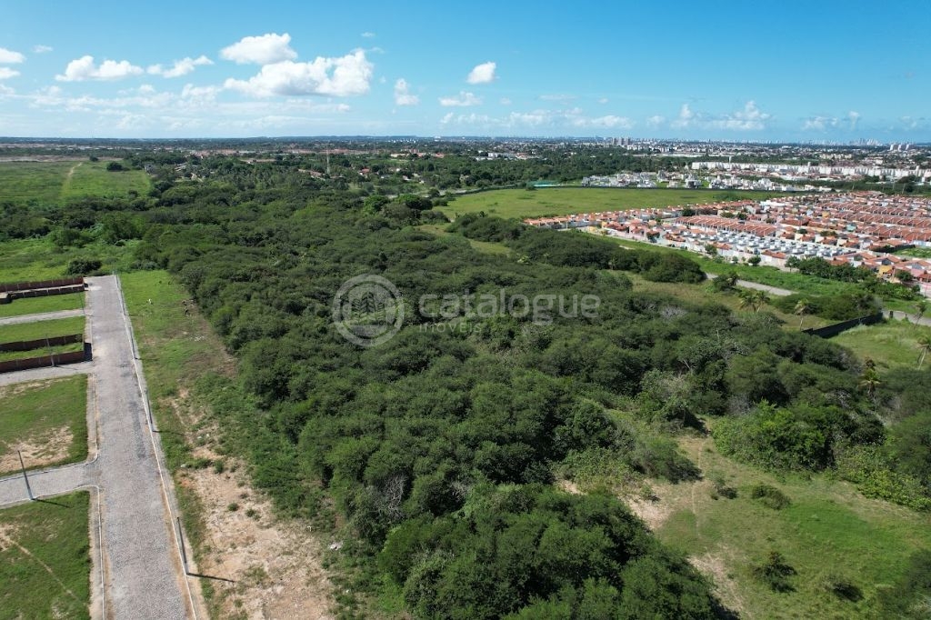 Área a venda em parnamirim 5,5 ha - foto 11
