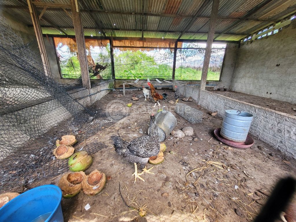 Sitio em São José do Mipibu - 2,5 ha - Infraestrutura Completa