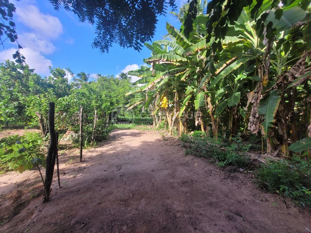 Área comercial na tomaz landim