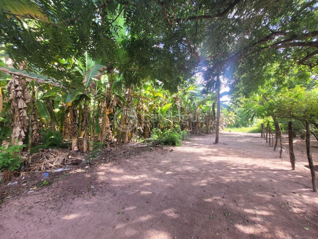 Área comercial na tomaz landim