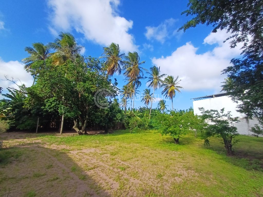 Área comercial na tomaz landim