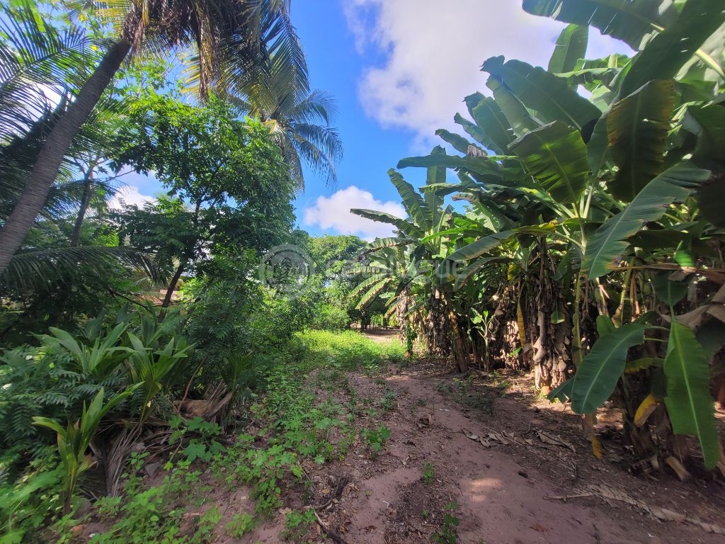 Área comercial na tomaz landim