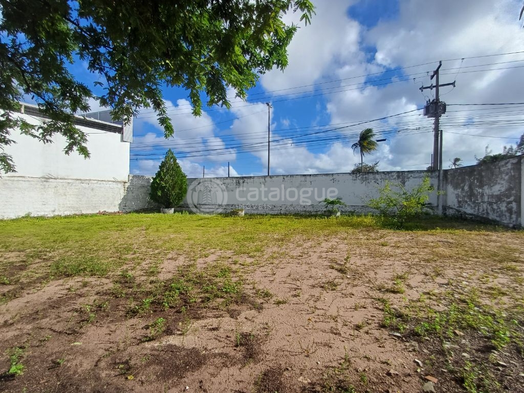 Área comercial na tomaz landim