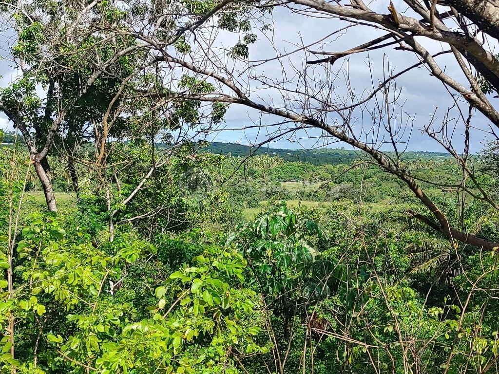 Oferta imperdível no Porto Cotovelo condominio resort - lote com 551m2