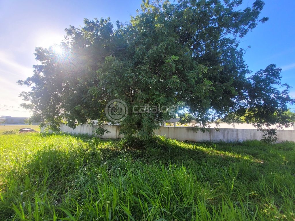 Lote à venda – alphaville pium / parnamirim-rn