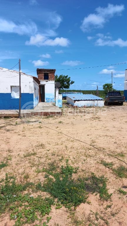 Fazenda à venda em Jandaíra 300 hectares com alto potencial produtivo