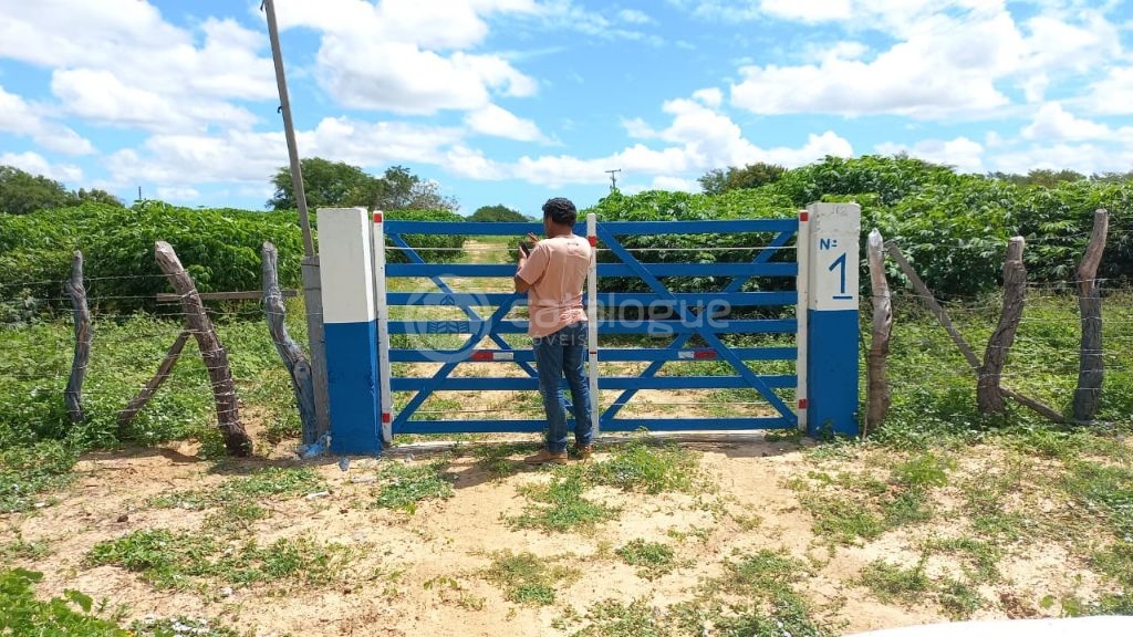 Fazenda à venda em Jandaíra 300 hectares com alto potencial produtivo