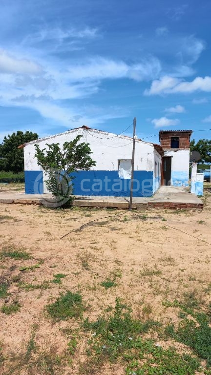 Fazenda à venda em jandaíra – 300 hectares com alto potencia