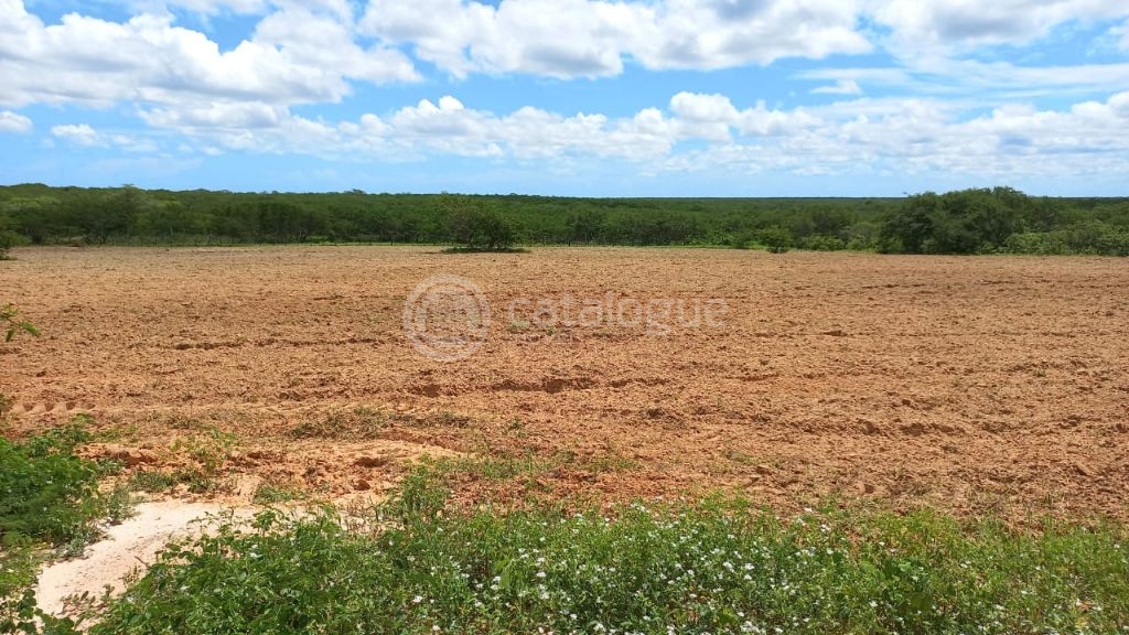 Fazenda à venda em jandaíra – 300 hectares com alto potencia