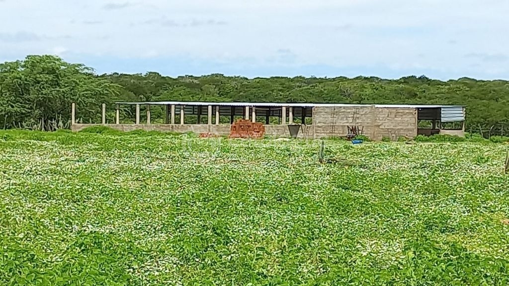 Fazenda à venda em jandaíra – 300 hectares com alto potencia
