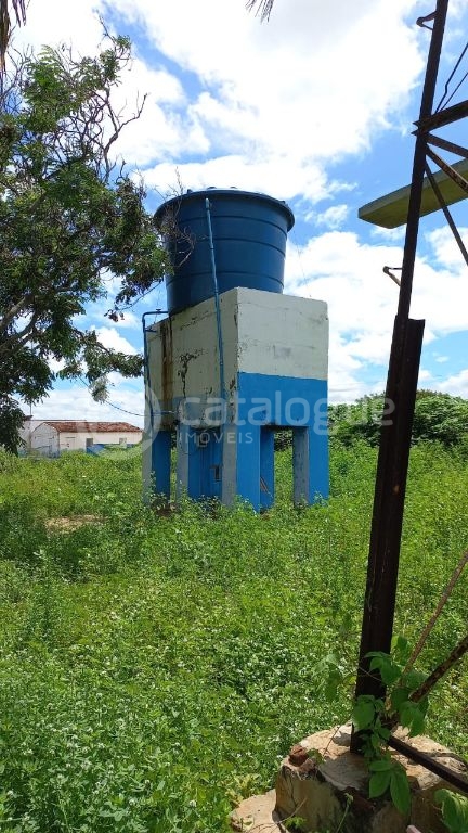 Fazenda à venda em Jandaíra 300 hectares com alto potencial produtivo
