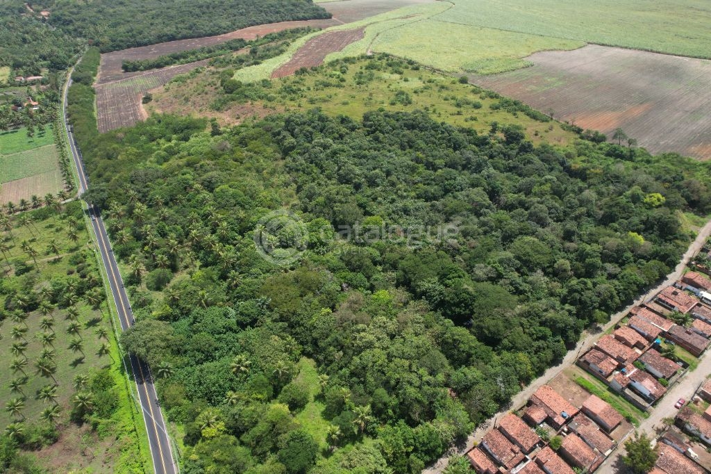 Área à Venda Nísia Floresta / RN - 12,1 Ha