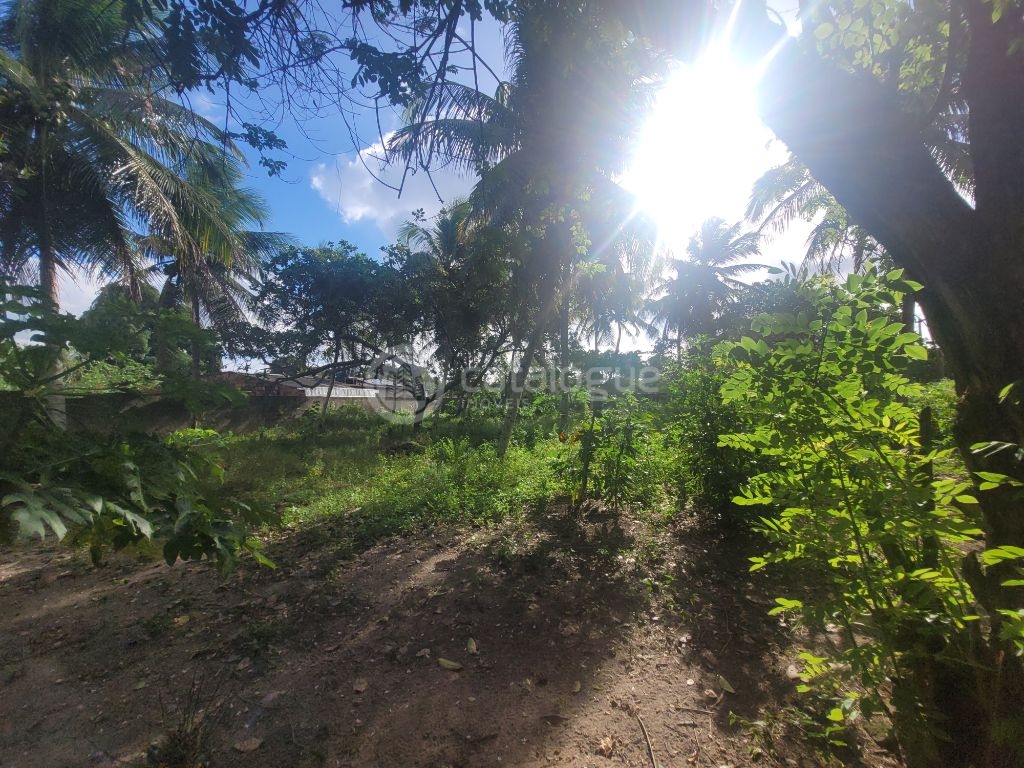 Chácara à venda em são josé de mipibu