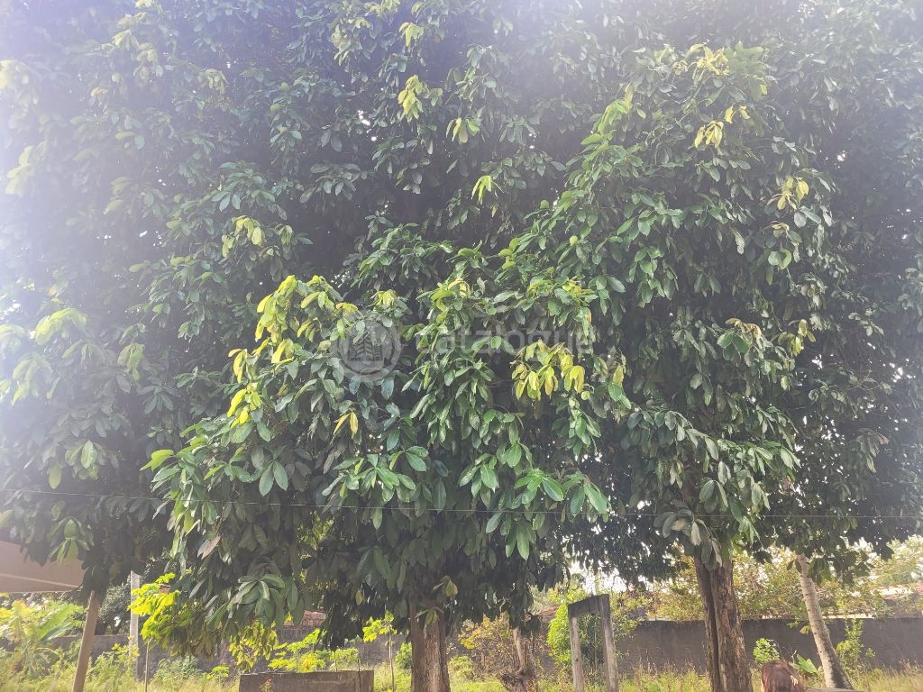 Chácara à venda em são josé de mipibu