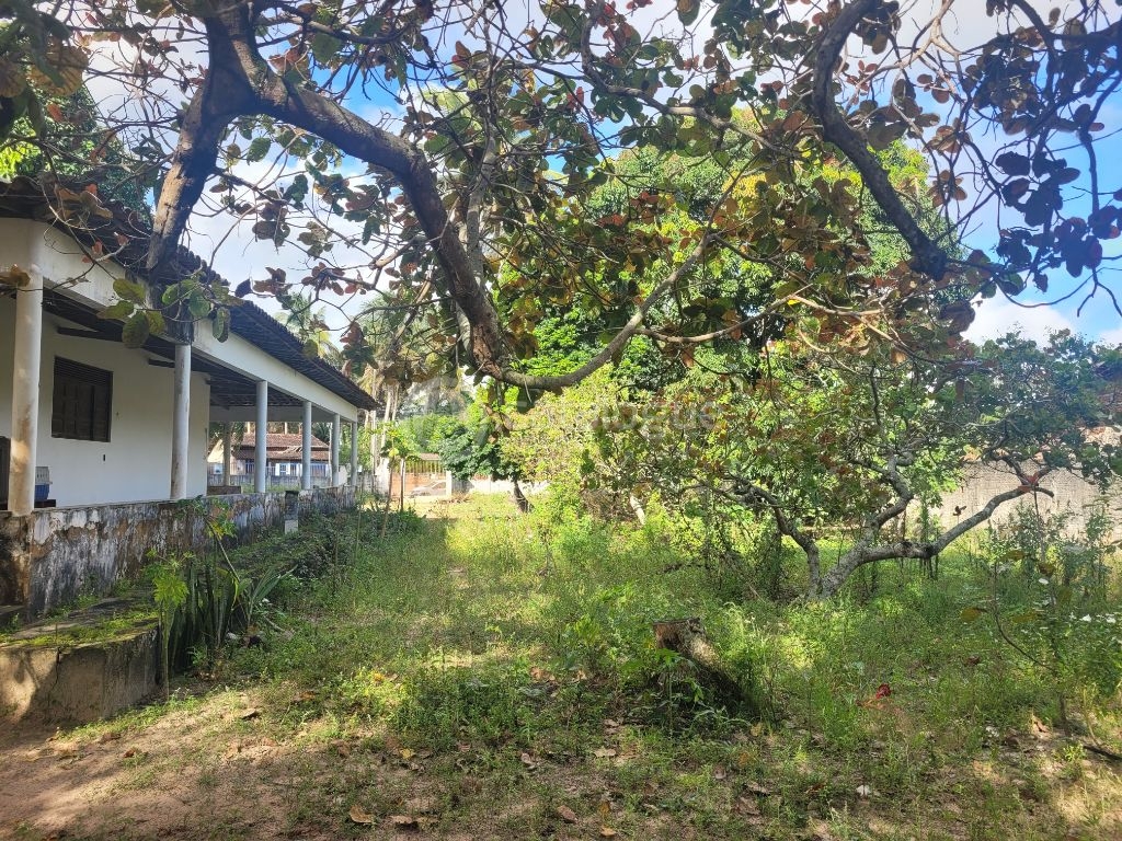 Chácara à venda em são josé de mipibu