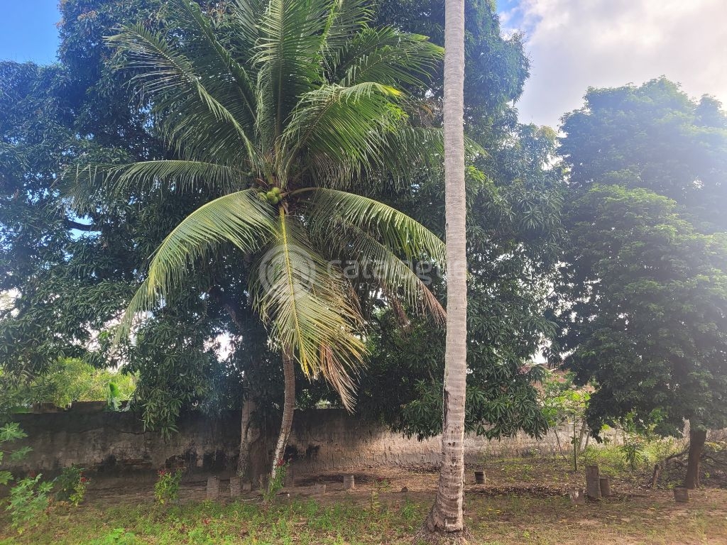 Chácara à venda em são josé de mipibu