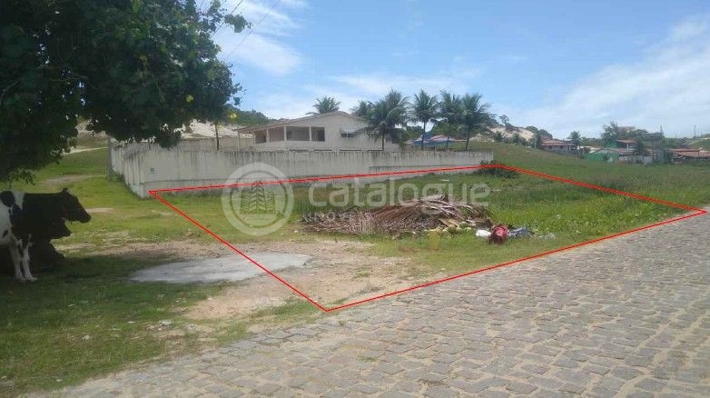 Terreno à venda na praia de tabatinga – excelente oportunida